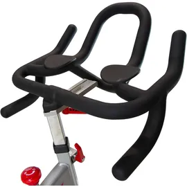 BH fitness Rex H921«, Schwungmasse ca. 20 kg, Professioneller Einsatz WEISS|SCHWARZ|ROT No Size