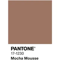 Alpina Wandfarbe Pantone Mocha Mousse matt 2,5 l