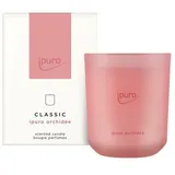 ipuro Orchidee Kerze 270 g