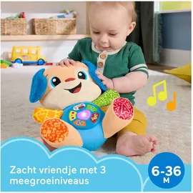 Fisher-Price Lernspaß Hündchen 29 cm mehrfarbig
