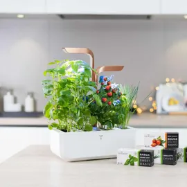 Veritable Véritable SMART Ø 38 x 16,7 cm Weiß