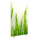 Paperflow Trennwand easyScreen ES97014 Gräser Motiv 94,0 x 173,2 cm
