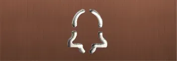 DoorBird D11x Namensschild für eine Ruftaste, Glockensymbol Bronze-Optik als PVD Beschichtung, Edelstahl, gebürstet