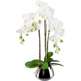 Creativ green Kunstorchidee »Phalaenopsis im Silbertopf«, weiß