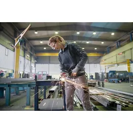 Bosch GWS 17-125 Professional