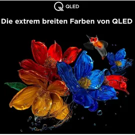 TCL 55T8C 55 Zoll QLED 4K Google TV