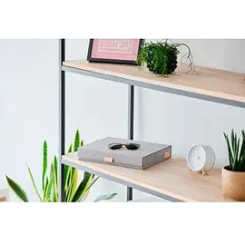 LOVE !T STORE !T Premium Brillenbox grau 32,0 x 25,0 x 5,5 cm, 1 St.