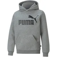 Puma Essentials Hoodie Jungen grau, 128