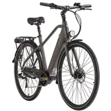 Hollandia Mantova 28'' grau Herren (149E)