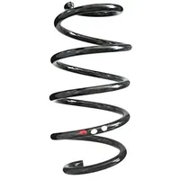 SPIDAN Fahrwerksfeder