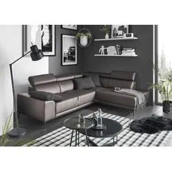 Ecksofa 3C CANDY "Greve modern und bequem, inkl. manueller Kopfteilverstellung, L-Form", grau, B:249cm H:79cm T:209cm, 100% Leder, Sofas, wahlweise mit motorischem Sitzvorzug