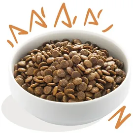 Edgard Cooper Adult Frisches Freilaufhuhn 12 kg