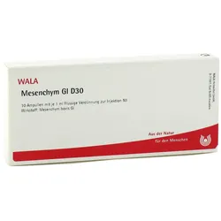 Mesenchym Gl D30 Ampullen
