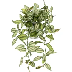 Kunstpflanze I.GE.A. "Tradescantiahänger", bunt (grün,rot), B:26cm H:42cm L:22cm, Kunstpflanzen, Mit Übertopf Kunstpflanze Hängepflanze Pflanzenampel Kletterpflanze