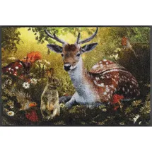 Wash+Dry Fußmatte, Forest Whisper 50x75cm, innen und außen, waschbar