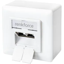 Renkforce Netzwerkdose Aufputz CAT 6 2 Port Reinweiß RF-4697900