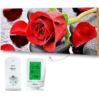 Red Roses 800 W