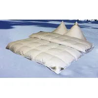 Betten Hofmann Eiszeit Premium 10 cm Winter Hochsteg Daunendecke Daunenbett 6x6 200x220 cm