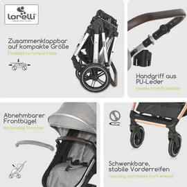 Lorelli Kinderwagen 2 in 1 Viola
