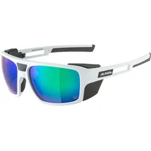 Alpina Skywalsh Q A8741 521 60 smoke-grey matt/green mirror
