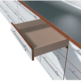 Blum Tandem-Führung 560H Vollauszug mit Blumotion - 253 mm