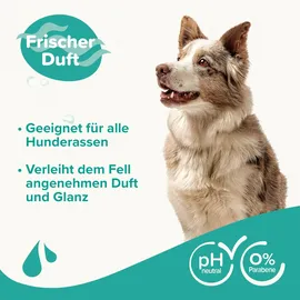 beaphar Hundeshampoo Fellglanz 250 ml