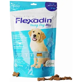 Vétoquinol Flexadin Young Dog Maxi 60 Gelenkleckerli