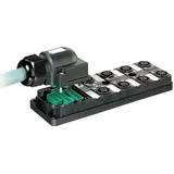 Murrelektronik Verteiler 27036
