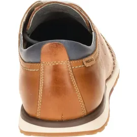 PIKOLINOS Schnürschuhe Herren Braun 41