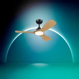 Philips Olas 106 cm 30 W Schwarz/Braun