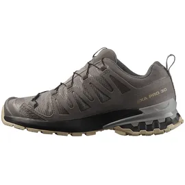 Salomon XA Pro 3D V9 GTX Damen Plum Kitten/Black/Gull 42