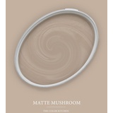A.S. Création - Wandfarbe Beige "Matte Mushroom" 5L