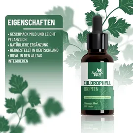 natural pro Chlorophyll Tropfen 50 ml