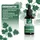 natural pro Chlorophyll Tropfen 50 ml
