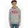 Levi's Levi's® Kids Kapuzensweatshirt LVB BATWING PULLOVER HOODIE for BOYS grau 140 (10J)