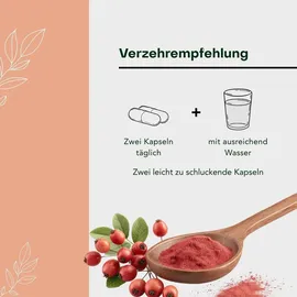 Pharmatura GmbH & Co. KG AuraNatura Fermentura Doloferm 60 st
