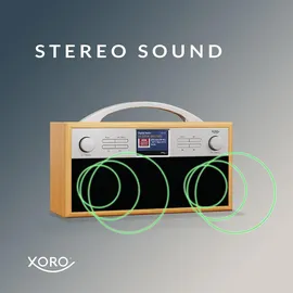Xoro DAB 250 IR