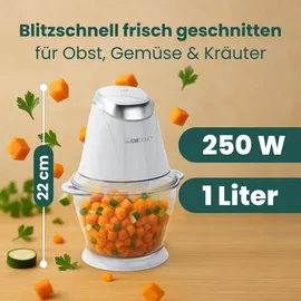 Clatronic MZ 3579 Multizerkleinerer weiß