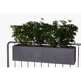 Vivanno Balkonkasten Blumenkasten zum Aufhängen Fiberzement Milano Benno, Grau 22 x 82 x 21,5 cm
