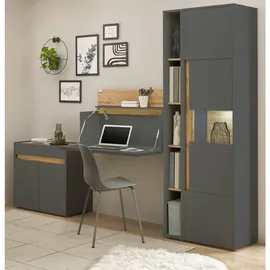 furn.design Aktenschrank grau Eiche, Wotan Holzwerkstoff, Nachbildung,Eiche, 4 Fächer, Rechteckig, 50x200x40 cm, Arbeitszimmer, Aktenschränke