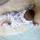 TupTam Baby Schlafsack Wintertiere Blau/Beige 116-122