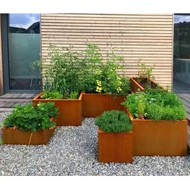 Palatino Clara 80 x 80 x 50 cm Braun