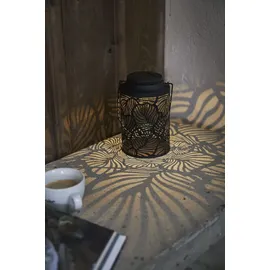 Star Trading 482-66 1 Glühbirne(n) LED 0,03 W