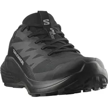Salomon Herren Alphaglide GTX Schuhe (Größe 44, schwarz)