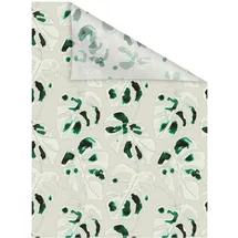 Lichtblick Monstera 50x100cm (94302302-0)