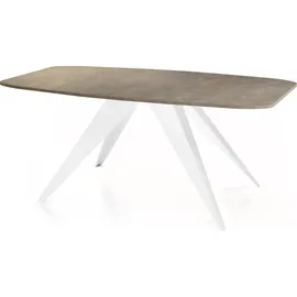 WFL GROUP Fatina 160 x 76 x 80 cm dunkelgrau