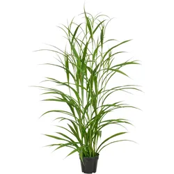 Kunstgras CREATIV GREEN "Grasbusch", grün, H:130cm, Kunststoff, Kunstpflanzen, mit filigranen Grashalmen