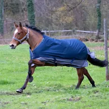 EquiThème Winterdecke 50g Füllung 600D Tyrex EquiTheme marineblau/grau 135cm