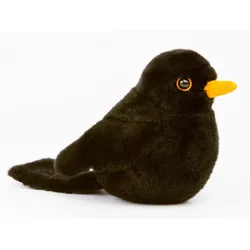Kösen - Amsel"Türilü"