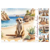 Calvendo Erdmännchen in Italien (Tischkalender 2026 DIN A5 quer),